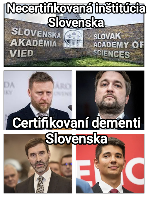 A čo zistila slovenská spoločnosť?